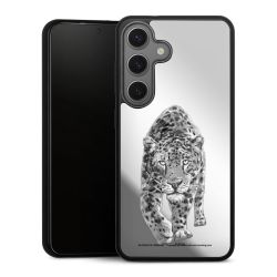 Leopard transparent