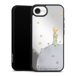 Mirror Case silber