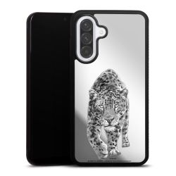 Mirror Case silber