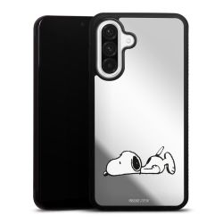 Mirror Case silber