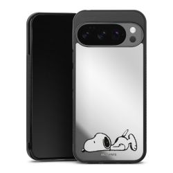 Mirror Case silber