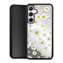 Gänseblümchen ohne Hintergrund