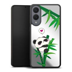 Cute Panda ohne Hintergrund
