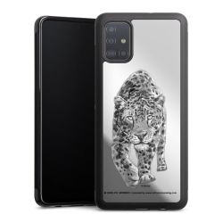 Leopard transparent