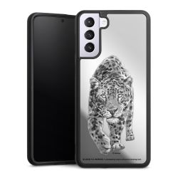 Leopard transparent