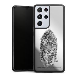 Leopard transparent