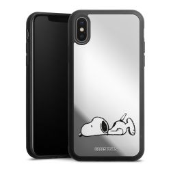 Mirror Case silber