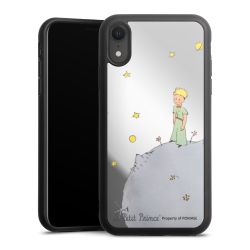 Mirror Case silber