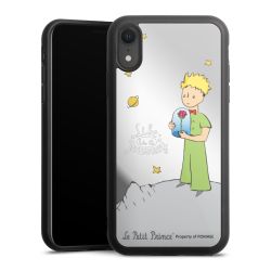 Mirror Case silber