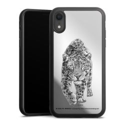 Leopard transparent