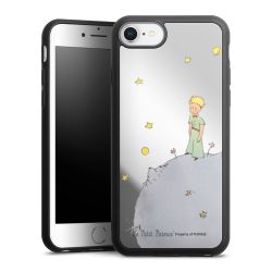 Mirror Case silber