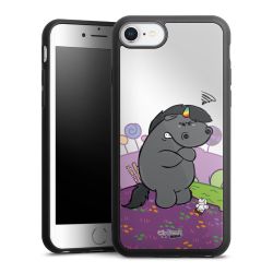 Mirror Case silber