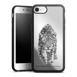 Leopard transparent