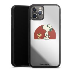 Snoopy Woodstock Far Out transparent