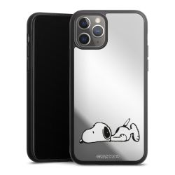 Mirror Case silber