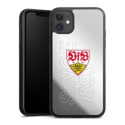 VfB Stuttgart Since 1893