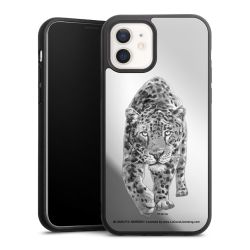 Leopard transparent