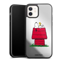 Snoopy and Woodstock Classic transparent