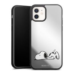 Mirror Case silber