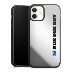 Mirror Case silber