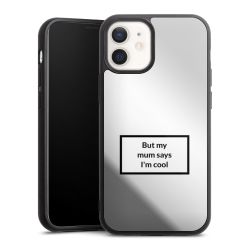 Mirror Case silber