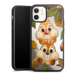 Chip And Chap Pekaboo