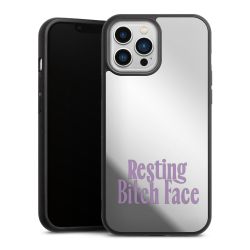 Mirror Case silber