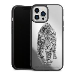 Leopard transparent