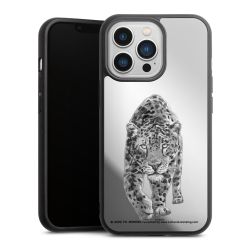 Leopard transparent