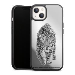 Mirror Case silber