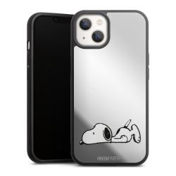 Mirror Case silber