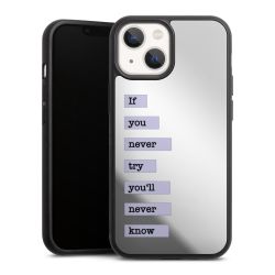 Mirror Case silber