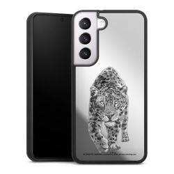 Leopard transparent