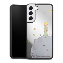 Mirror Case silber