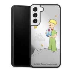 Mirror Case silber