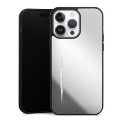 Mirror Case silber