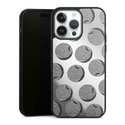 Mirror Case silber