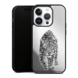 Léopard transparent