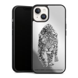 Léopard transparent