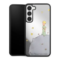 Mirror Case silber