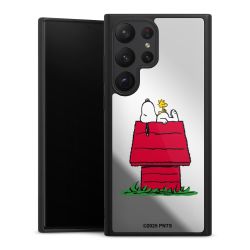 Snoopy and Woodstock Classic transparent