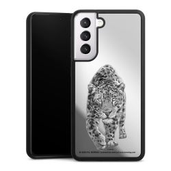 Leopard transparent