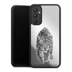 Leopard transparent