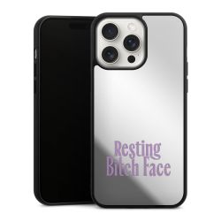 Mirror Case silber