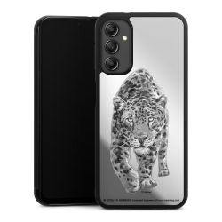 Leopard transparent