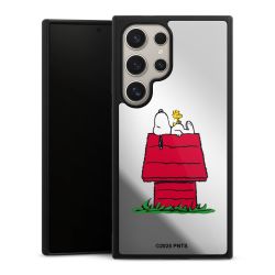 Snoopy and Woodstock Classic transparent