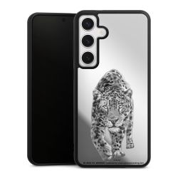Leopard transparent