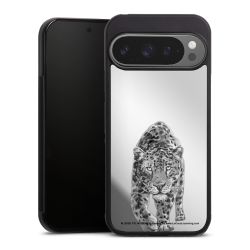 Leopard transparent