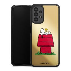 Mirror Case gold