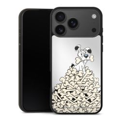 Mirror Case silber
